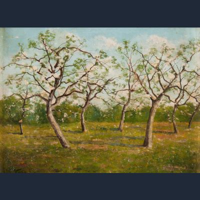 The Orchard