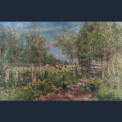 Cows in a blooming meadow