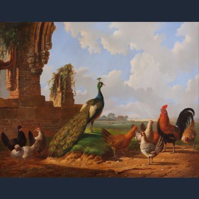 Landscape with a Peacock and poultry