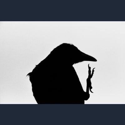 Erimo Cape (from the series The Solitude of Ravens)