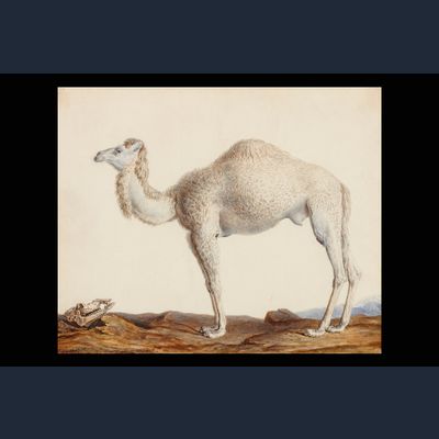 Nicolas Maréchal (1753 -1803)