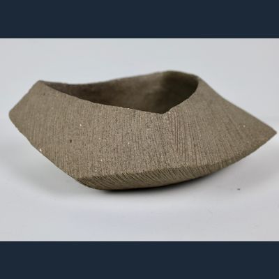 Kayoko Hoshino (1949), Japan