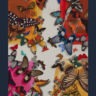 Christian Lacroix Color Party Butterfly Scarf