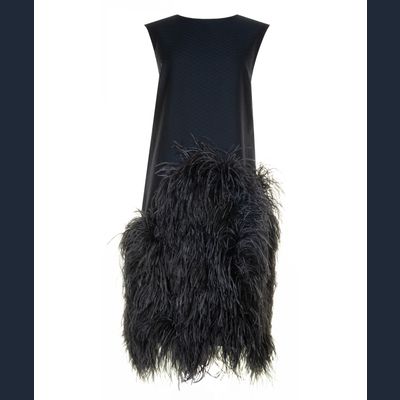FW 2013 Dries van Noten Runway Feather-Trimmed Midi Dress
