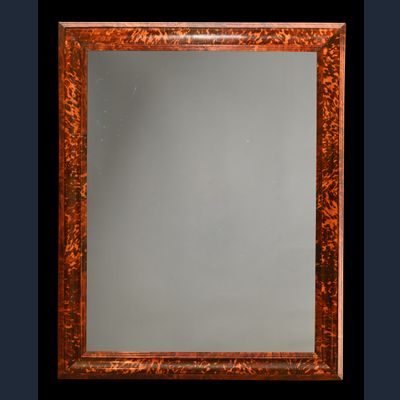 Een Hollandse schildpad spiegel