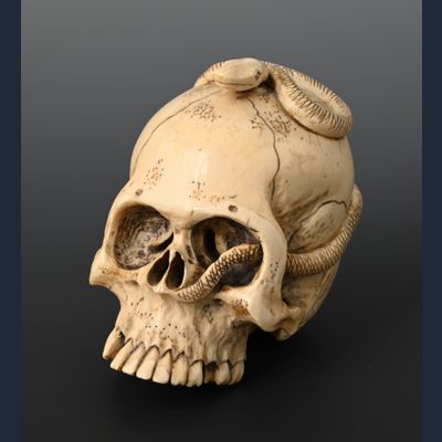 Eine japanische Elfenbeinschädel