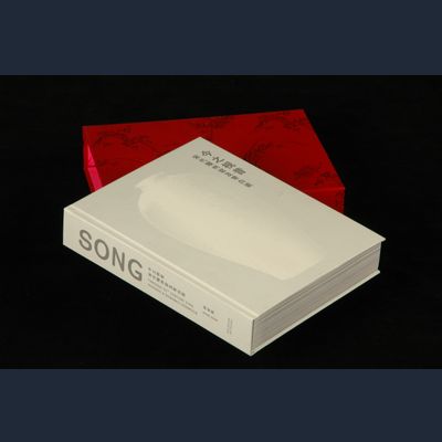 Song Through 21st Century Eyes