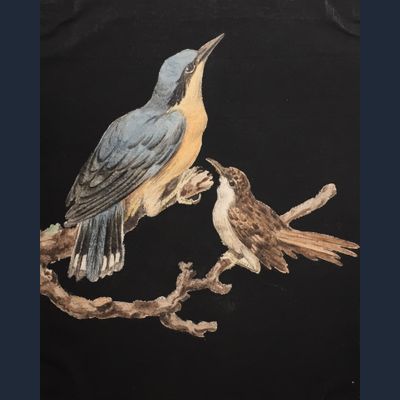 Eight drawings of birds