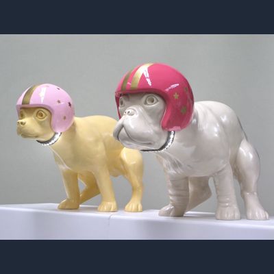 Survival of the Fittest