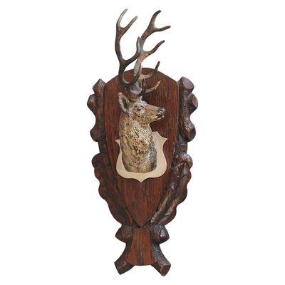 A nice head of a stag or a deer Vienna bronze circa 1900