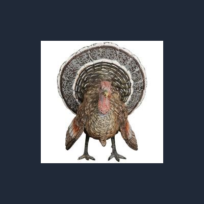 Very unusual, beautiful coloured cold painted Vienna bronze, signed Bergmann