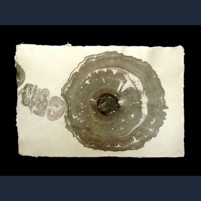 Ryosaku Kotaka RK30 Suminagashi 