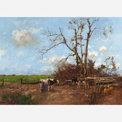 Milking time in a summer landscape