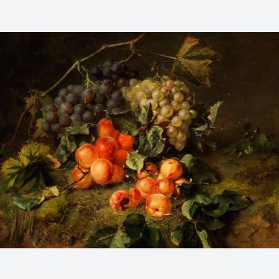 Fruit Still life