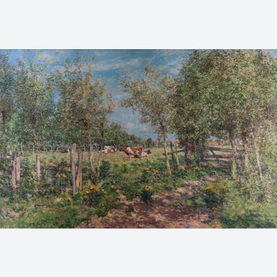 Kühe auf einer blühenden Wiese