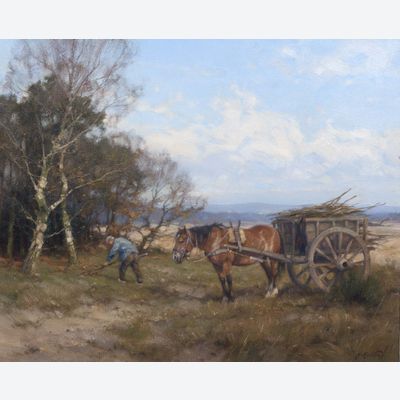 Houtsprokkelen op de Veluwe