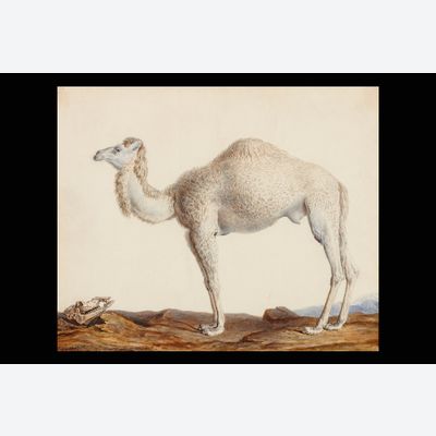 Nicolas Maréchal (1753 -1803)