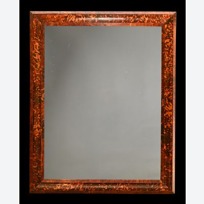 Een Hollandse schildpad spiegel