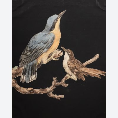 8 tekeningen van vogels