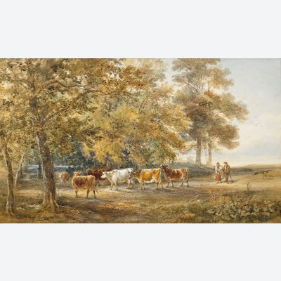 Landschap met koeien