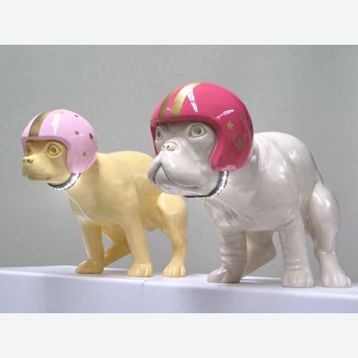 Survival of the Fittest!