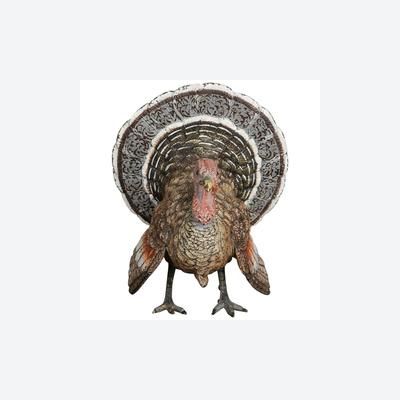 Very unusual, beautiful coloured cold painted Vienna bronze, signed Bergmann