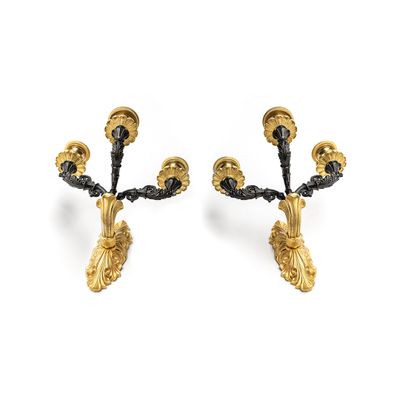 French Charles X appliques (wall lightening)