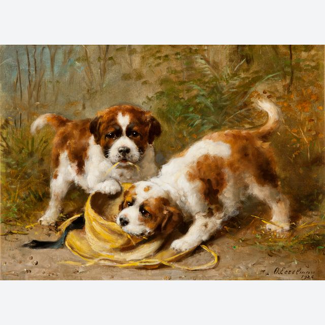 Two Saint-Bernard puppies playing with a hat - Otto Eerelman