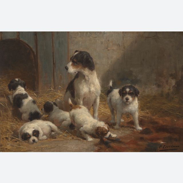 A healthy brood