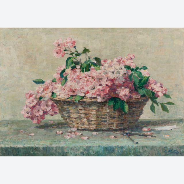 Rosa Blüte