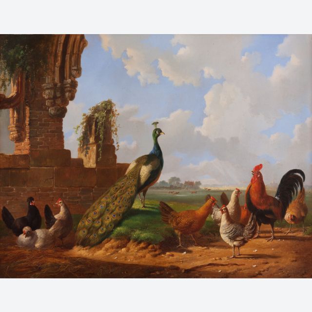 Landschaft mit einem Pfau und Geflügel
