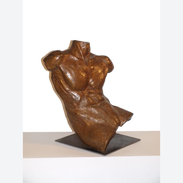 Torso homme