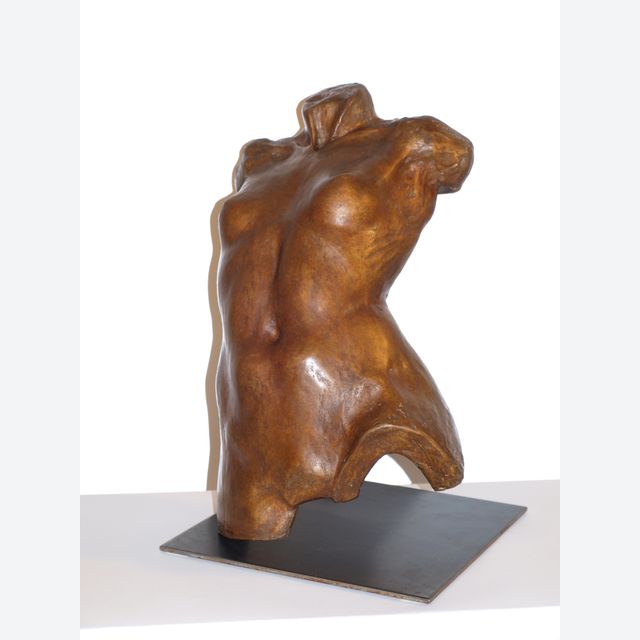 Torso femme
