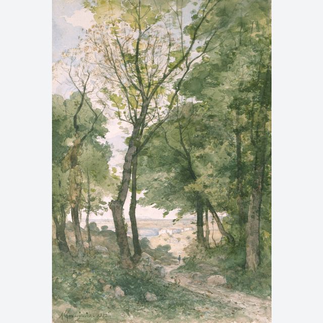 Páysage en Provence