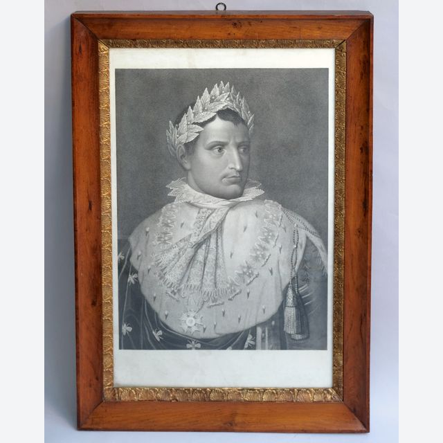 Napoleon in coronation robes