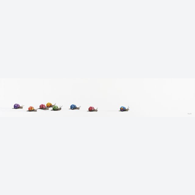 Need for Speed