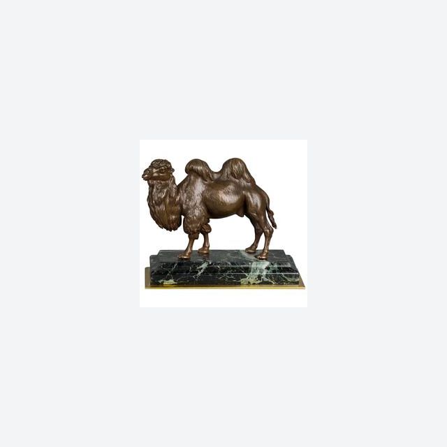 An unusual French camel bronze circa 1860