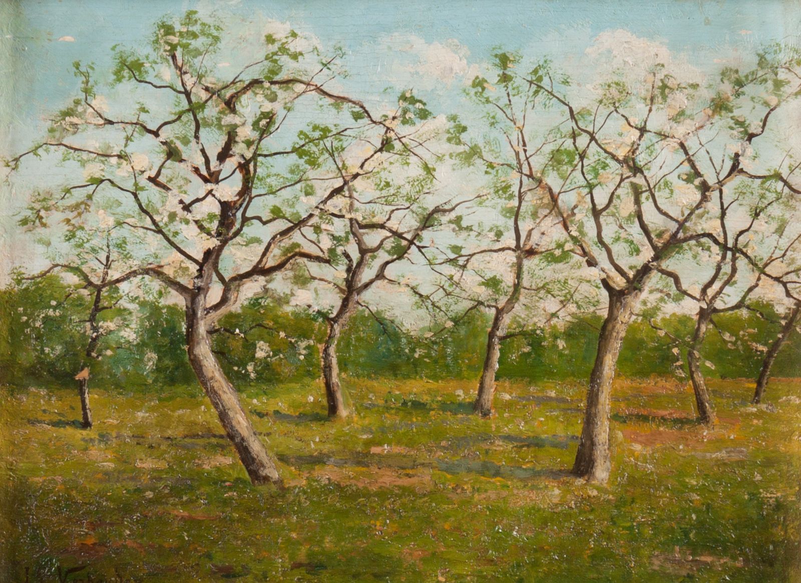 The Orchard