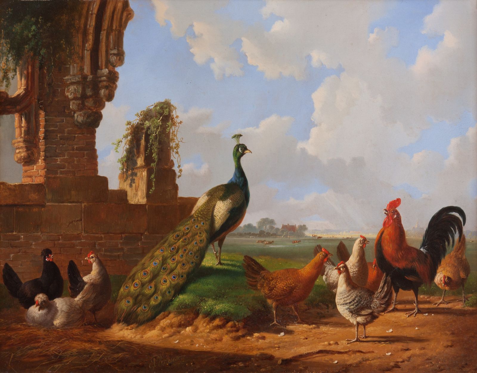 Landscape with a Peacock and poultry