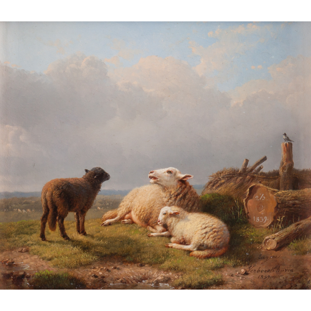 Dutch landscape with sheep