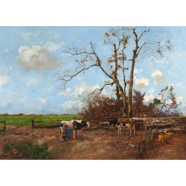 Milking time in a summer landscape