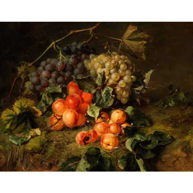 Fruit Still life