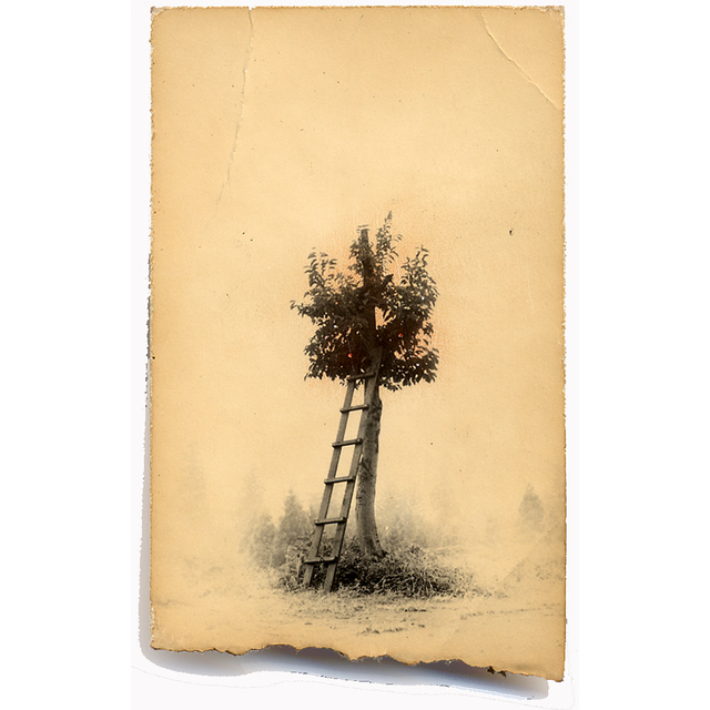 # 149