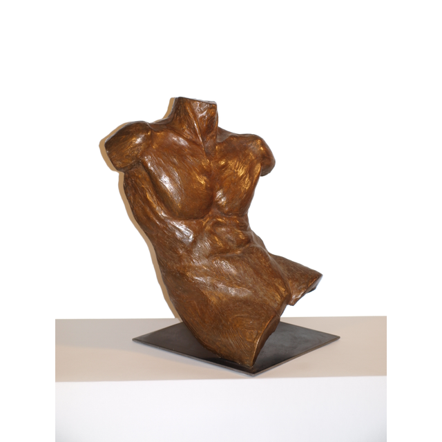 Male torso