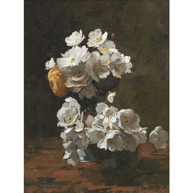 Anemones