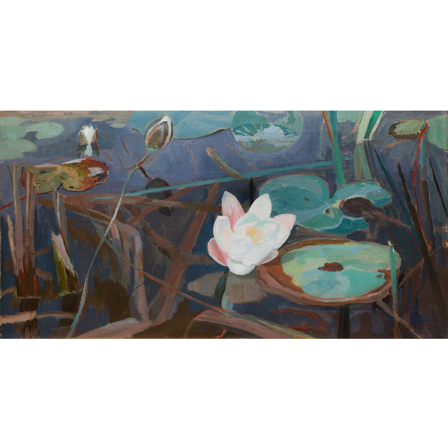 Waterlelies