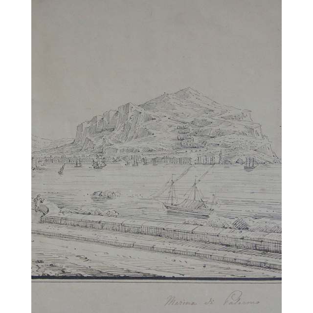 Senape: Marina di Palermo