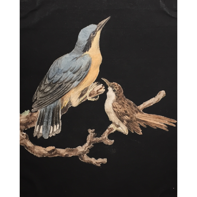 8 tekeningen van vogels