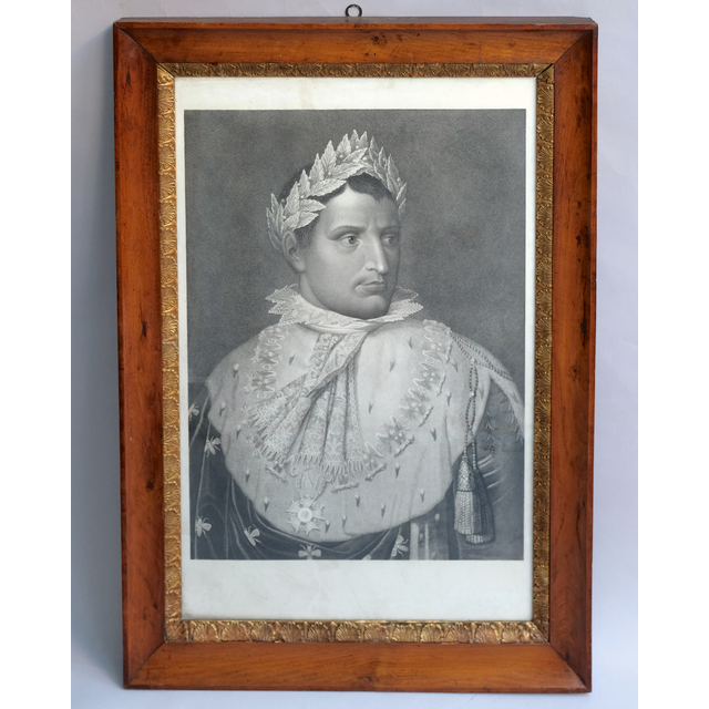 Napoleon in coronation robes