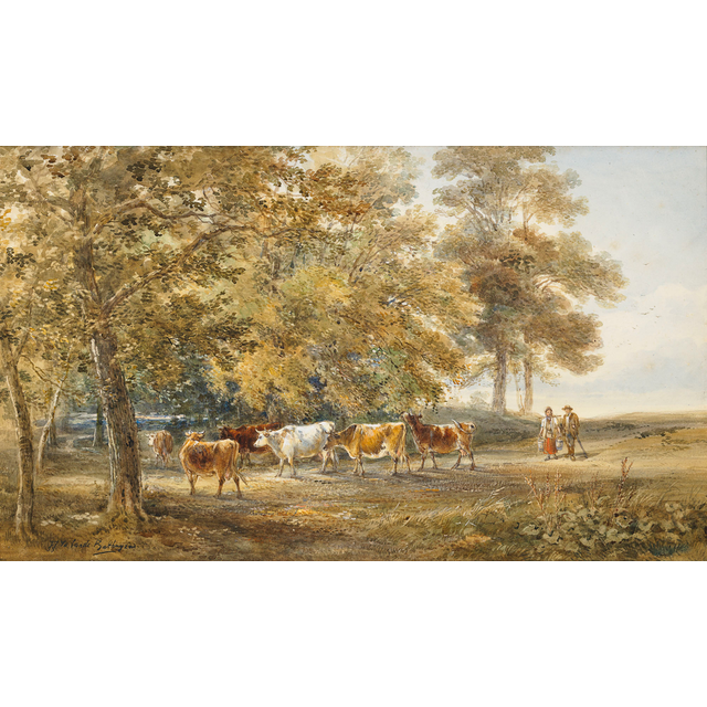 Landschap met koeien